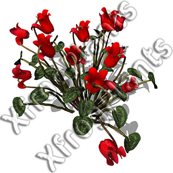 3ds max flowers 1 dvd mixed - XfrogPlants Mixed Popular Flowers 1 DVD by xfrog