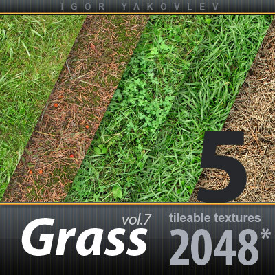 Grass Textures 2048x2048 vol.7