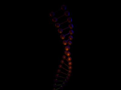 3ds dna - DNA.3ds by ekezetomer