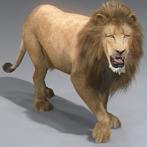 3ds max lion fur - Lion Animated by NONECG