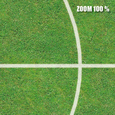 Soccer field textures - large