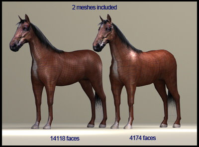Horse