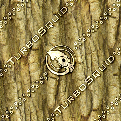 barktree1.tga