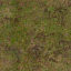 grassdirt.jpg