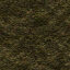 roughgrass.jpg