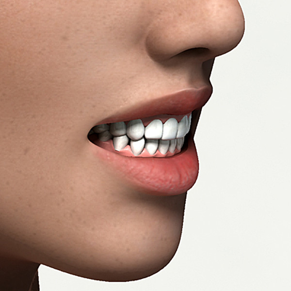 free realistic female girl head 3d model - Anatomy Hot Girl Angie Rigged by NONECG