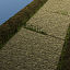 Sidewalk & Grass