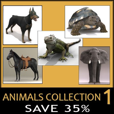 Animal Collection (1)