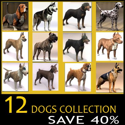 3d extensive dog model - 12 Dogs Collection (1) by Massimo Righi