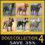 Dog Collection (4)