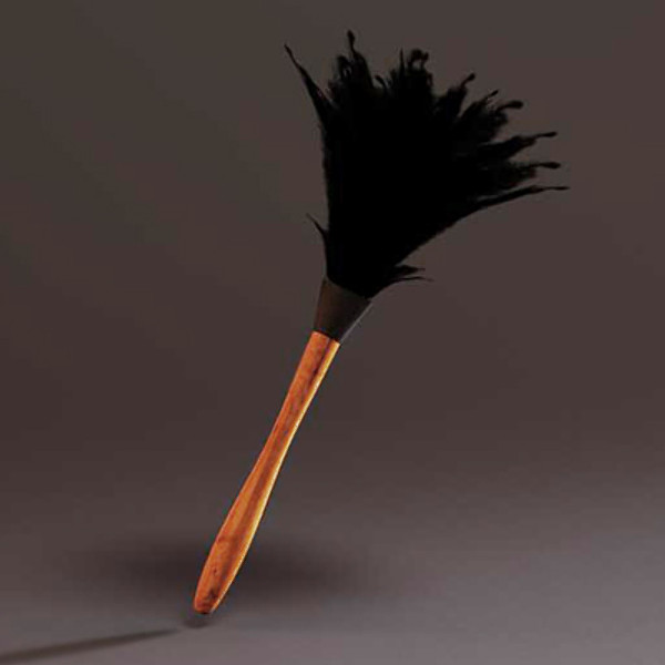 feather duster 3D Models