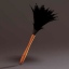 feather duster