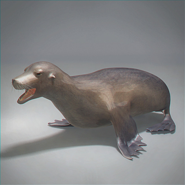 Seal Rigged