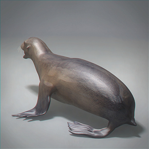 Seal Rigged