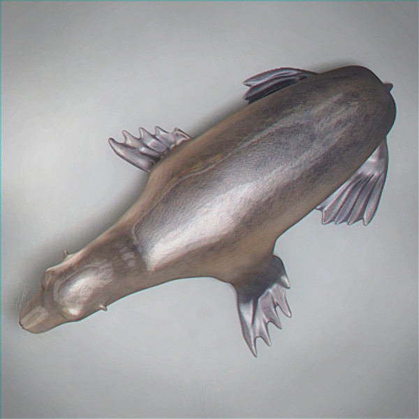 Seal Rigged