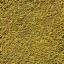 Texture bush/shrub