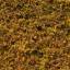 Texture bush/shrub
