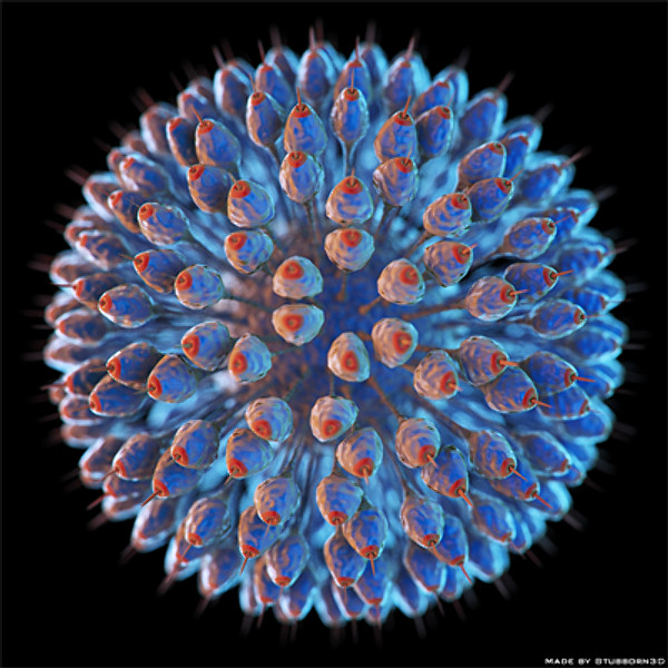 Virus