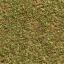 Texture hedge/shrub