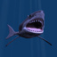 Great White Shark