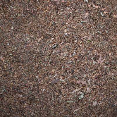 Ground #02 Texture 3D Models