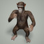 Rigged Chimpanzee with Hair Modifier