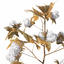 XfrogPlants Cotton