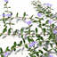 XfrogPlants Lesser Periwinkle