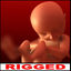 Fetus - Lightwave and Softimage XSI rigged anatomical model