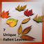Autumn Leaf Fallen Fall Leaves