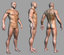 lowpoly man
