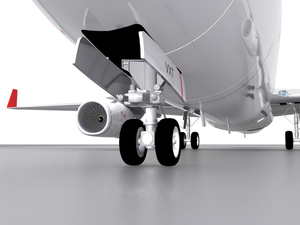 3d aircraft qantas model - 737-800 - Qantas by foxxhound