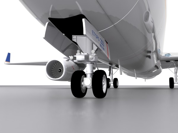 3d aircraft continental model - 737-800 - Continental.max by foxxhound