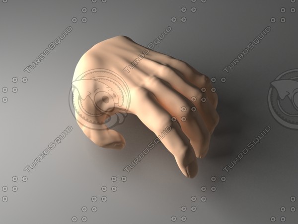 hand 3d 3ds - Hand by 3DaMaze