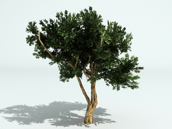 3ds tree opacity - Tree by fabelar