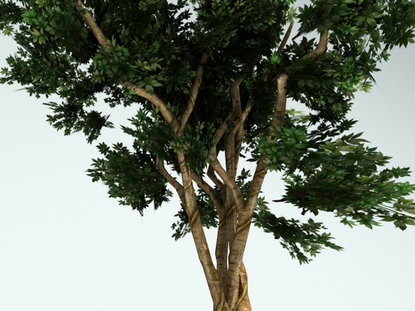3ds tree opacity - Tree by fabelar
