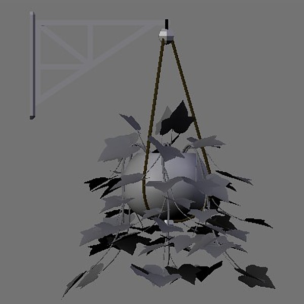 PL Hanging English Ivy