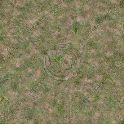Grass Textures 2048x2048 vol.8