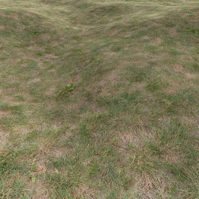 Grass Textures 2048x2048 vol.8