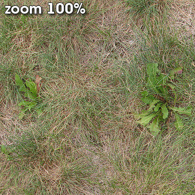 Grass Textures 2048x2048 vol.8