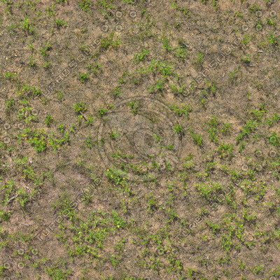 Grass Textures 2048x2048 vol.8