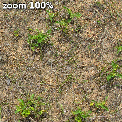 Grass Textures 2048x2048 vol.8