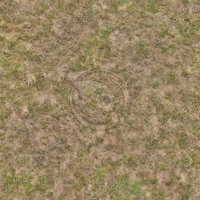Grass Textures 2048x2048 vol.8
