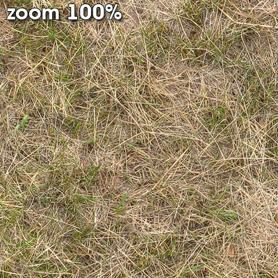 Grass Textures 2048x2048 vol.8