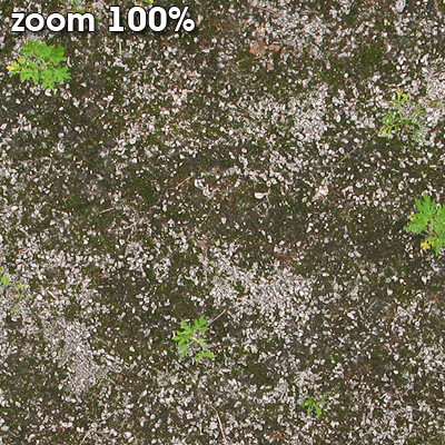 Grass Textures 2048x2048 vol.8