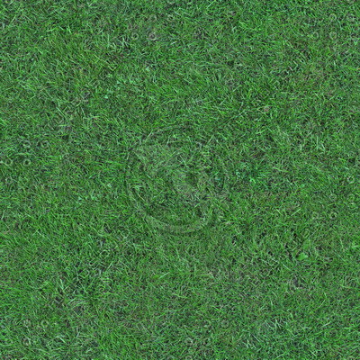 Grass Textures 2048x2048 vol.8