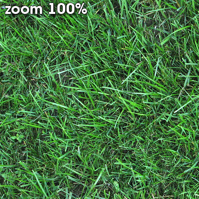 Grass Textures 2048x2048 vol.8