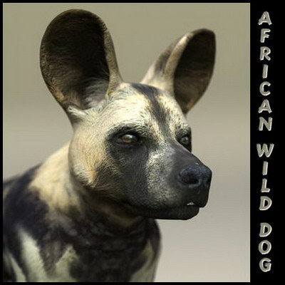 extensive dog 2 fbx - 12 Dogs Collection (2) by Massimo Righi
