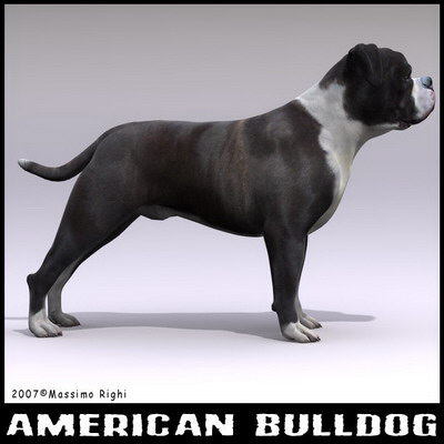 extensive dog 2 fbx - 12 Dogs Collection (2) by Massimo Righi