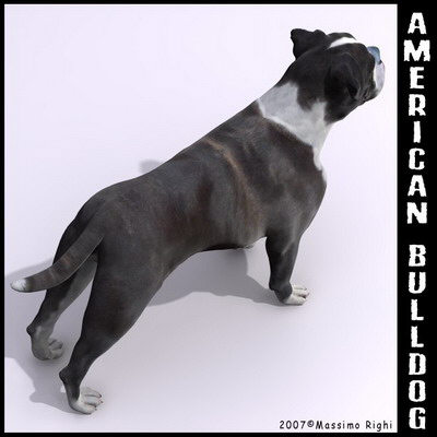 extensive dog 2 fbx - 12 Dogs Collection (2) by Massimo Righi